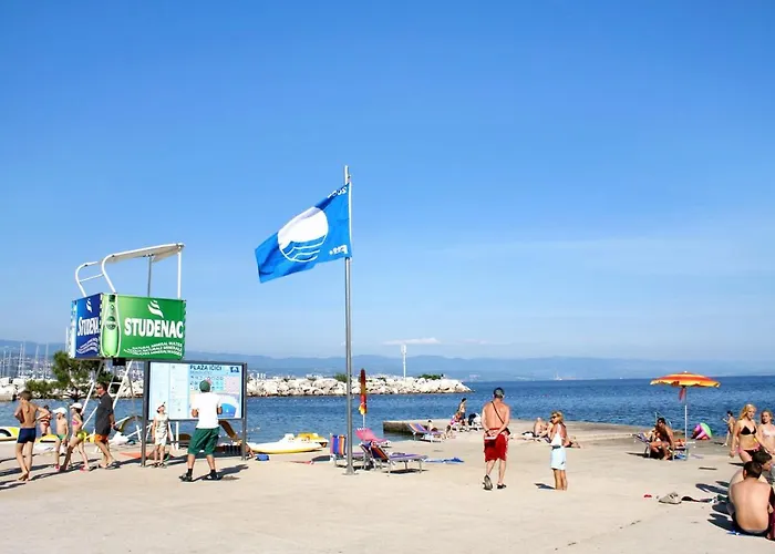 Апартаменты With A Parking Space Icici, Opatija - 7988 Ичичи